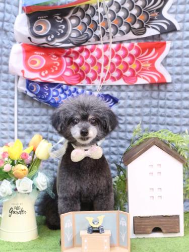 20230523ヒナちゃん